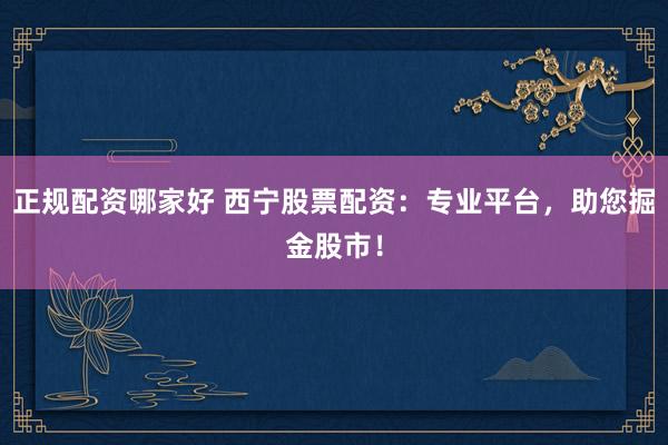 正规配资哪家好 西宁股票配资：专业平台，助您掘金股市！