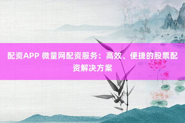 配资APP 微量网配资服务：高效、便捷的股票配资解决方案
