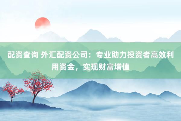配资查询 外汇配资公司：专业助力投资者高效利用资金，实现财富增值