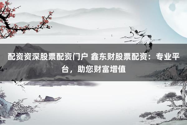 配资资深股票配资门户 鑫东财股票配资：专业平台，助您财富增值