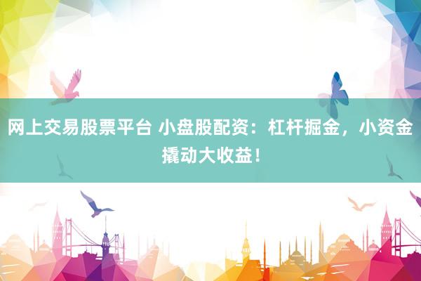 网上交易股票平台 小盘股配资：杠杆掘金，小资金撬动大收益！