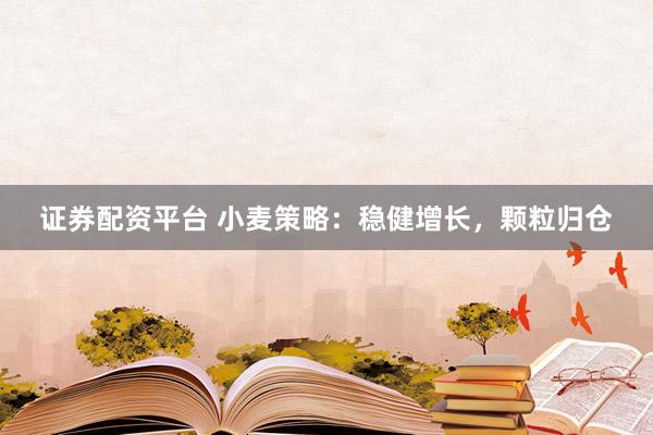 证券配资平台 小麦策略：稳健增长，颗粒归仓