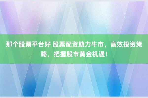那个股票平台好 股票配资助力牛市，高效投资策略，把握股市黄金机遇！