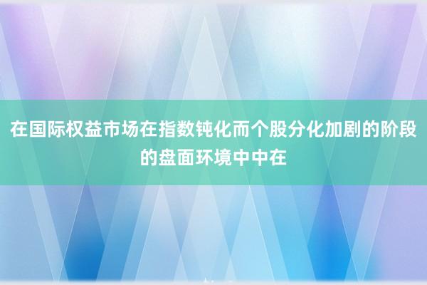 在国际权益市场在指数钝化而个股分化加剧的阶段的盘面环境中中在