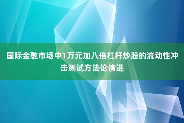 国际金融市场中1万元加八倍杠杆炒股的流动性冲击测试方法论演进