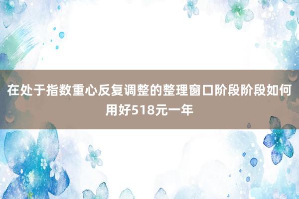 在处于指数重心反复调整的整理窗口阶段阶段如何用好518元一年