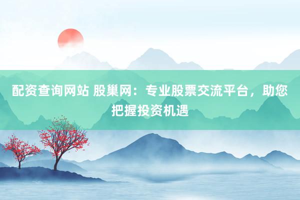 配资查询网站 股巢网：专业股票交流平台，助您把握投资机遇