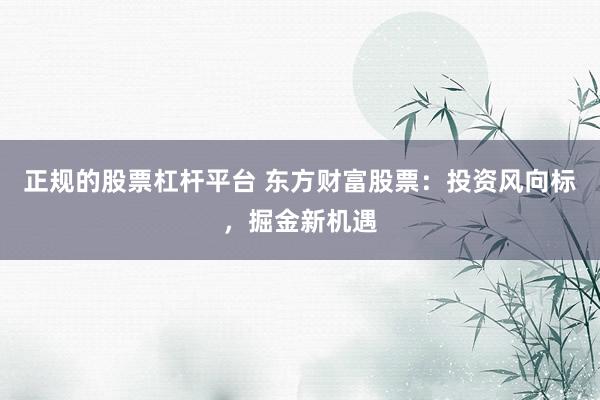 正规的股票杠杆平台 东方财富股票：投资风向标，掘金新机遇