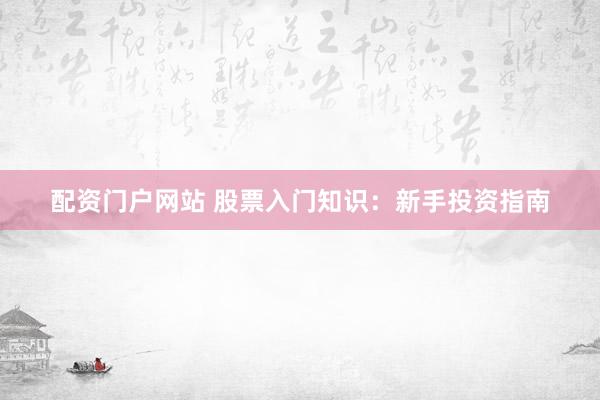 配资门户网站 股票入门知识：新手投资指南